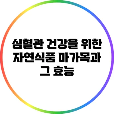 심혈관 건강을 위한 자연식품: 마가목과 그 효능