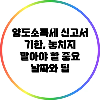 양도소득세 신고서 기한, 놓치지 말아야 할 중요 날짜와 팁