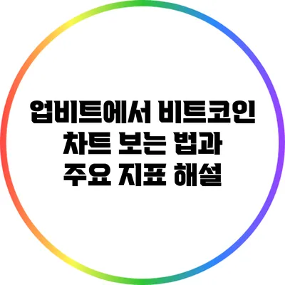 업비트에서 비트코인 차트 보는 법과 주요 지표 해설