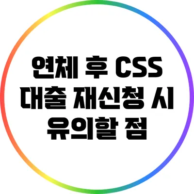 연체 후 CSS 대출 재신청 시 유의할 점