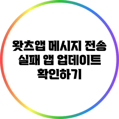 왓츠앱 메시지 전송 실패 앱 업데이트 확인하기