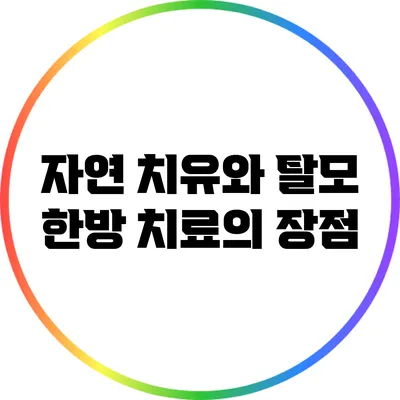 자연 치유와 탈모: 한방 치료의 장점