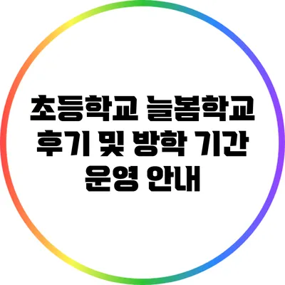초등학교 늘봄학교 후기 및 방학 기간 운영 안내