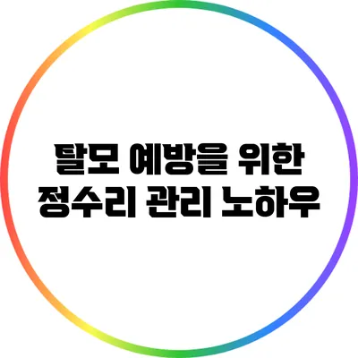 탈모 예방을 위한 정수리 관리 노하우