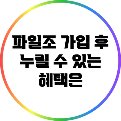 파일조 가입 후 누릴 수 있는 혜택은?