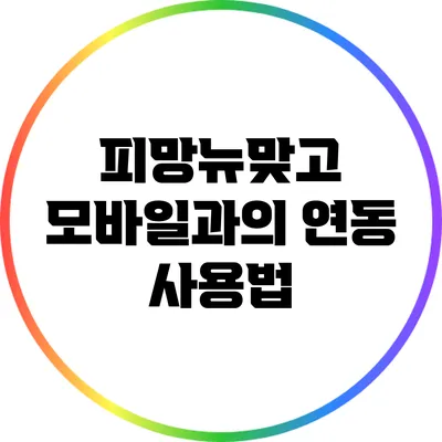 피망뉴맞고 모바일과의 연동 사용법