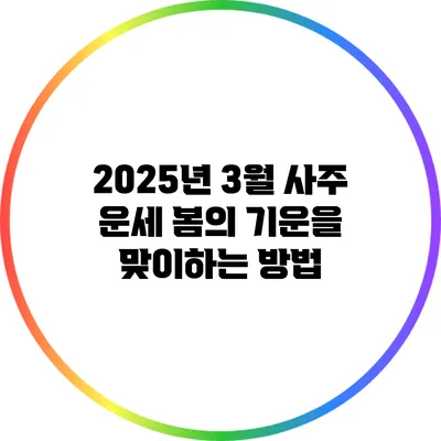 2025년 3월 사주 운세: 봄의 기운을 맞이하는 방법