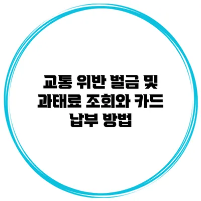 교통 위반 벌금 및 과태료 조회와 카드 납부 방법