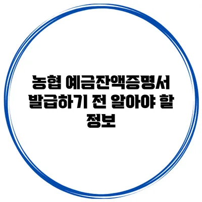 농협 예금잔액증명서 발급하기 전 알아야 할 정보