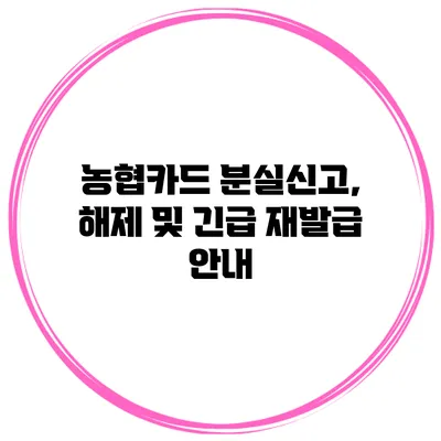 농협카드 분실신고, 해제 및 긴급 재발급 안내