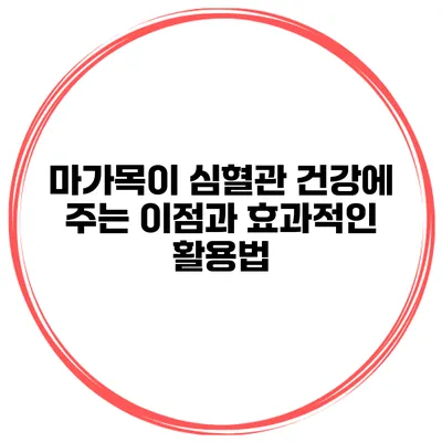 마가목이 심혈관 건강에 주는 이점과 효과적인 활용법