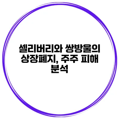 셀리버리와 쌍방울의 상장폐지, 주주 피해 분석